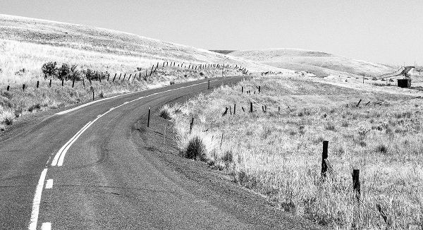 Gulin, Sylvia 아티스트의 USA-Washington State-Benge Washtucna Road in black and white작품입니다.